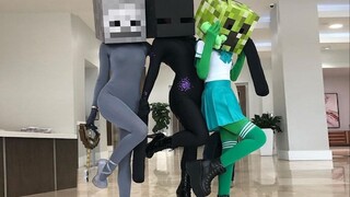 International Fun Video Compilation & Animal Silly Behavior Awards #124