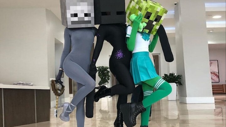 International Fun Video Compilation & Animal Silly Behavior Awards #124