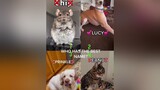 Which pet has the best name?? Don’t forget to follow the boss😎😎. fyp foryou foryoupage viral dog cat hamster pets petsoftiktok