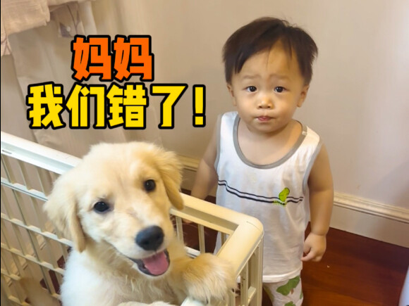 Anak anjing plus bayi manusia, sebesar apa keributan yang bisa mereka buat?