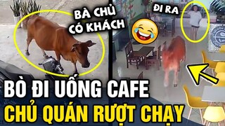 Tổng hợp tình huống 'HÀI ĐỘNG VẬT' không cười không lấy tiền | Tin 3 Phút Hài