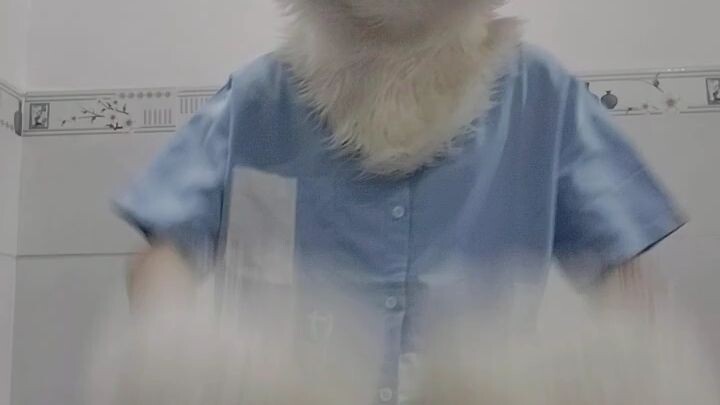 Bởi vì em tự tin em là lông lá-Sói Ngủ Nướng #fursuiters #dance #soingunuong #星眠狼 #furrysinger