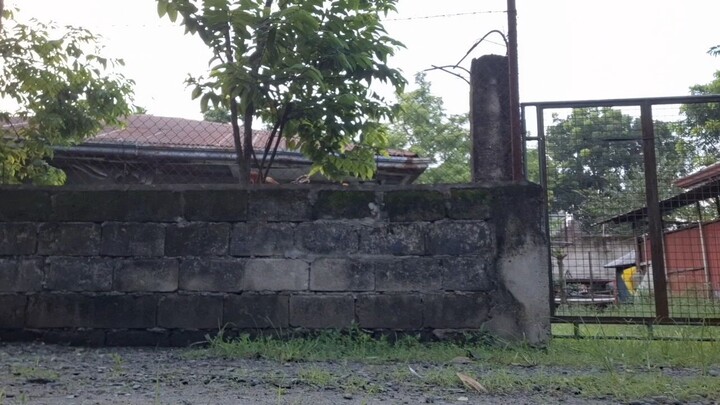 Exercise Bulik Inc. vs. Sky