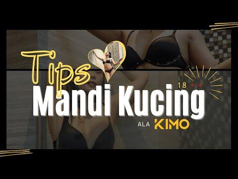 Tips Mandi Kucing Ala KIMO (18+)_bilibili