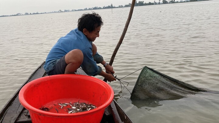 Dỡ dớn cá đồng gần nhà mùa nước nổi có gì khác so với đồng biên giới Việt Nam