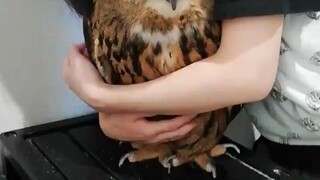 Hold and suck
