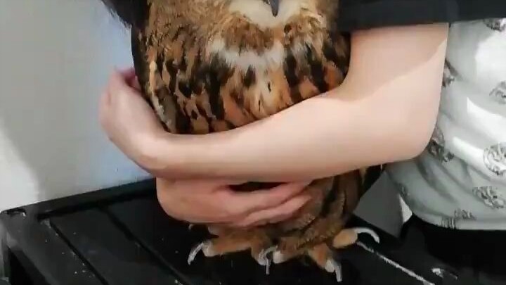 Hold and suck