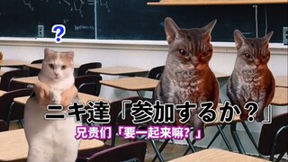 【熟肉】去留美的日本人，如果在上课玩〇〇百奇游戏被发现的话... | 猫meme