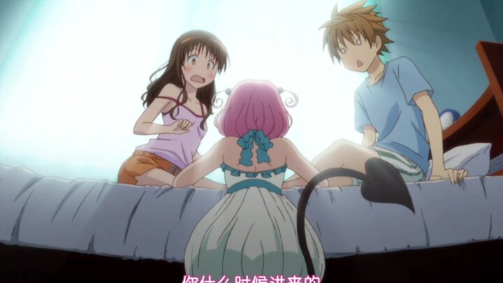 美柑和梨斗睡觉被梦梦看见了🤩🤩🤩