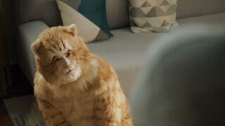 Hu Ge memainkan peran kucing kali ini