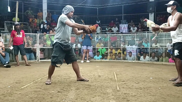 2nd fyt lose pumpkin cross