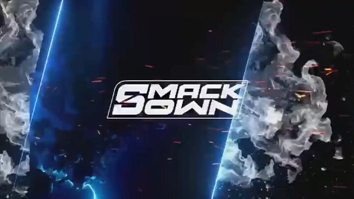 Smack down ladder match