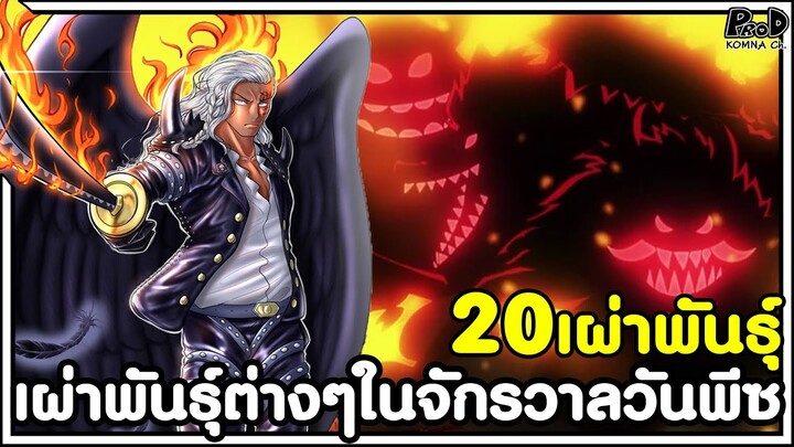 วันพีช - 20เผ่าพันธุ์ เผ่าพันธุ์ต่างๆในจักรวาลวันพีซ [KOMNA CHANNEL]
