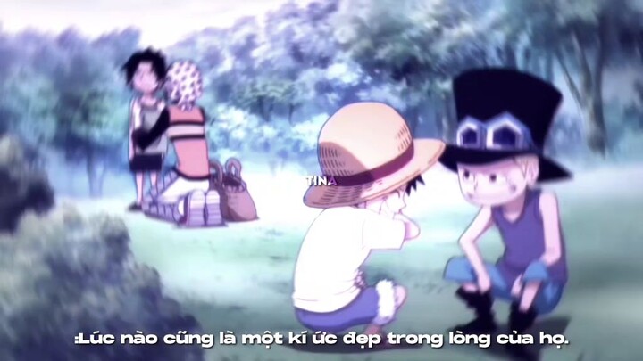 Anh ta vẫn là người chiếm bị trí quan trọng không có gì thay thế được!#ace #xh #xuhuong#anime