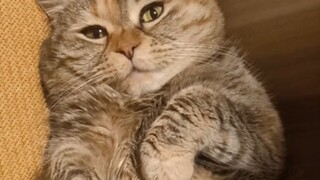 抱我去吃饭，谢谢