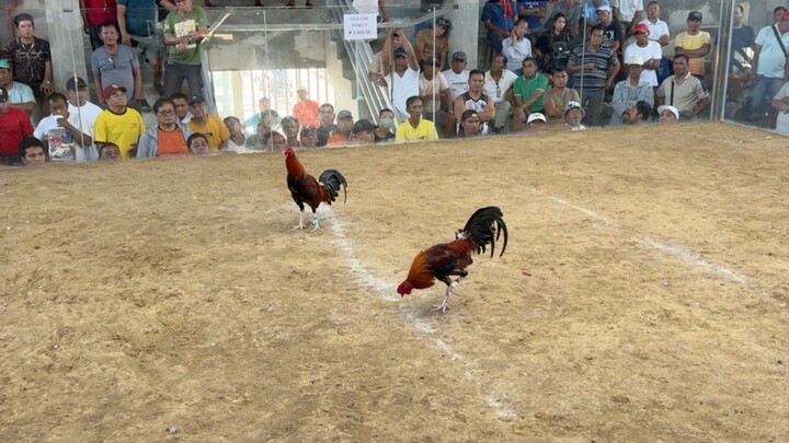 2 Hits Ulutan @DOUBLE D COCKPIT - WIN