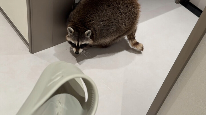 عامل صيانة الأنابيب