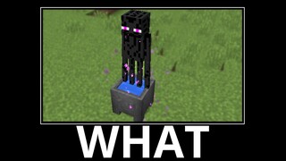 WAIT WHAT (Minecraft) #9