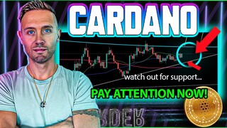 CARDANO DATA REVEALED! ADA Launchpad Ready For GO!