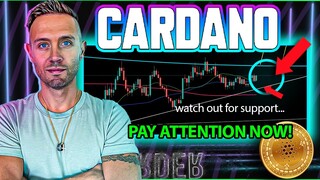 CARDANO DATA REVEALED! ADA Launchpad Ready For GO!