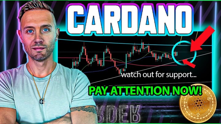 CARDANO DATA REVEALED! ADA Launchpad Ready For GO!