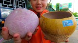Kỳ lạ bên trong trái Dừa nướng Ba Đốt thơm ngon nổi tiếng ở miền Tây