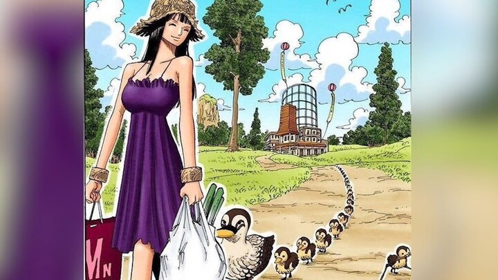 盘点海贼王漫画中不容错过的彩页细节！
