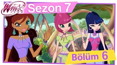 Winx Club - Sezon 7 Bölüm 6 - Lynphea'da Macera