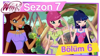 Winx Club - Sezon 7 Bölüm 6 - Lynphea'da Macera