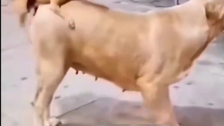 Little guy, I can’t play with you anymore!