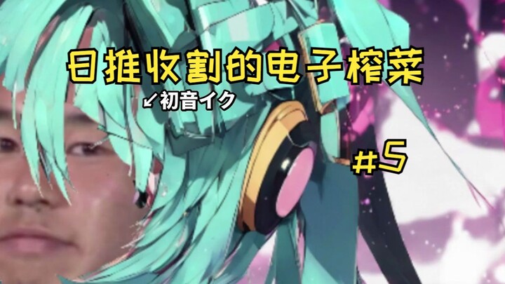 [Pre-made Content] A Collection of “Electronic Pickles” Scavenged from Japanese Twitter – Vol. 5