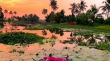 Beautiful Sunrise in Kerala 🌅