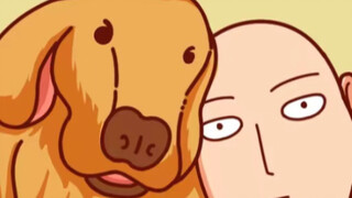 พี่หมาความจำไม่ค่อยดี เวลาออกกำลังกายมักทำของหล่นของหายเสมอ