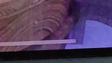 Ván đấu đẳng cấp này