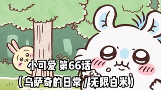 【自制中字】软萌软萌的小可爱《ちいかわ》第66话