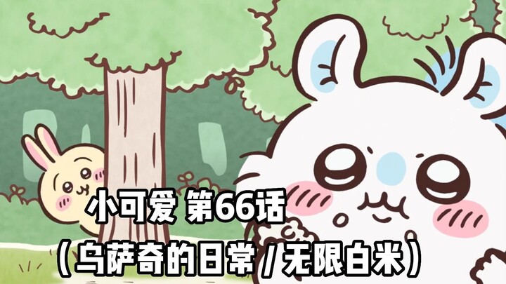 【自制中字】软萌软萌的小可爱《ちいかわ》第66话