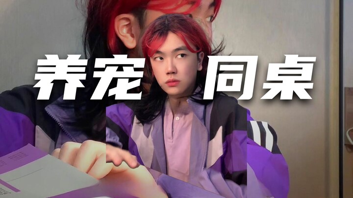 You Can “Raise” Your Desk Partner, Too!