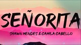 Shawn Mendes amp Camila Cabello - Señorita (Full Lyrics)
