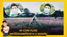 M-CAM VLOG #20 | แปลงดอกไม้สวยสด ใจกลางมหาวิทยาลัยขอนแก่น | M Sakchai