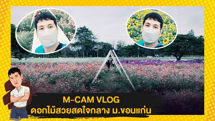 M-CAM VLOG #20 | แปลงดอกไม้สวยสด ใจกลางมหาวิทยาลัยขอนแก่น | M Sakchai