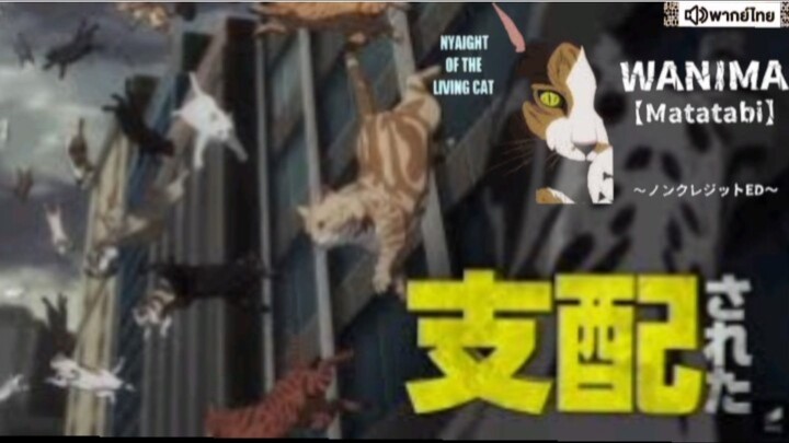 【 HD 】01.ดูอนิเมะ nyaig htoftheliv ingcat (๒๐๒๕) ดูหนังญี่ปุ่น (เต็มเรื่องพากย์ไทย) HD【 bilibil HD 】