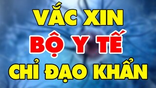 🔥 Bản tin mới nhất  Covid-19 Tối 13/10 | Tin Tức Covid 19 Mới Nhất Hôm Nay | Thời sự 24h