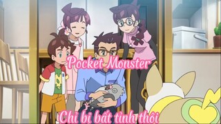 Pocket Monster 27 Chỉ bị bất tỉnh thôi