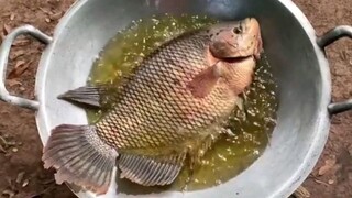 bigfish