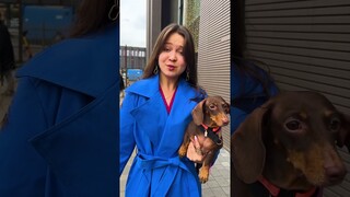 ЧАПИ РАСКРЫЛА СВОЙ СЕКРЕТ🐶😳