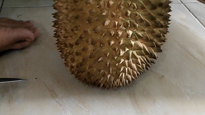 unboxing durian lokal premium