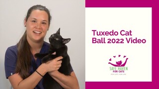SAFE Haven for Cats - Tuxedo Cat Ball 2022
