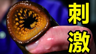 击 剑 终 结 者