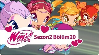Winx Club - Sezon 2 Bölüm 20 - Pixie Kasabası