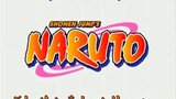Naruto series eps 10 subtitle Indonesia